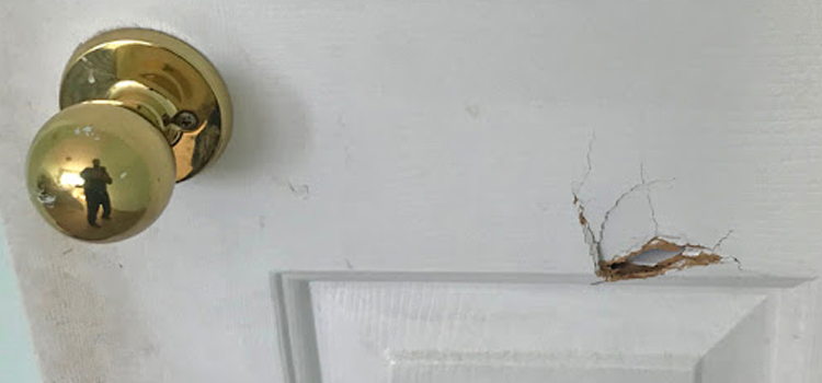 interior door hole repair Salida